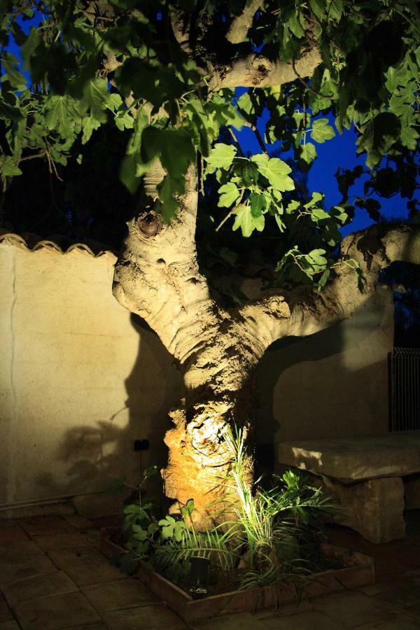 Les Bastidieres - Cap Brun Toulon Exteriér fotografie